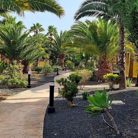 Appartamento Frangipani Con Terrazza E Piscina Corralejo Ngoại thất bức ảnh