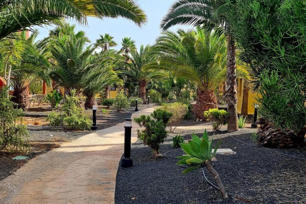 Appartamento Frangipani Con Terrazza E Piscina Corralejo Ngoại thất bức ảnh