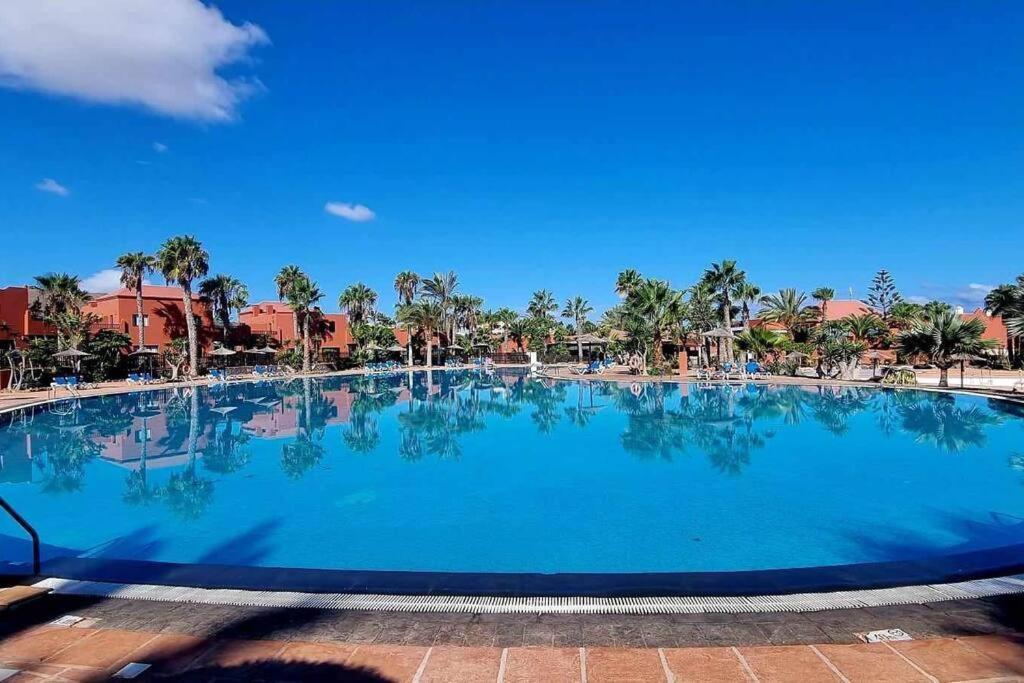 Appartamento Frangipani Con Terrazza E Piscina Corralejo Ngoại thất bức ảnh